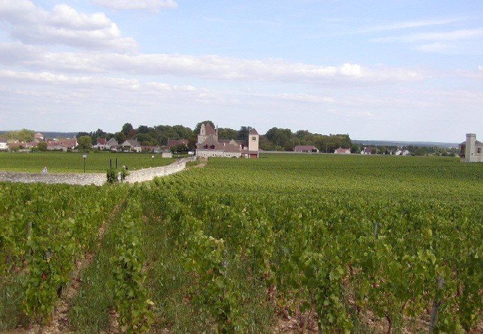 Clos Vougeot